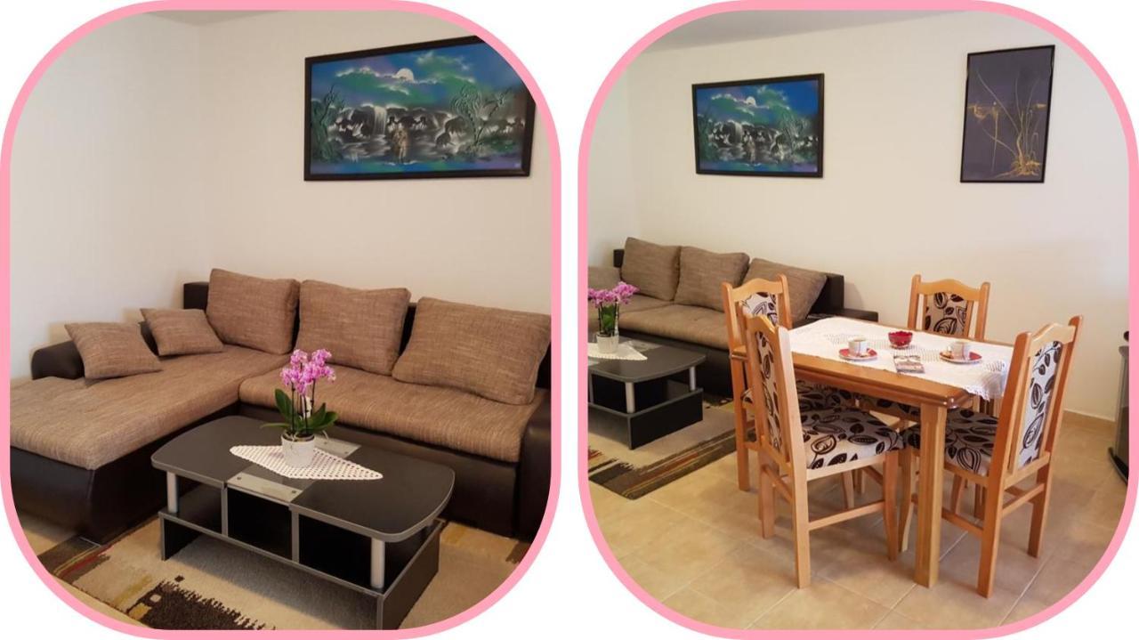 Apartmani Apolon Vrdnik Esterno foto