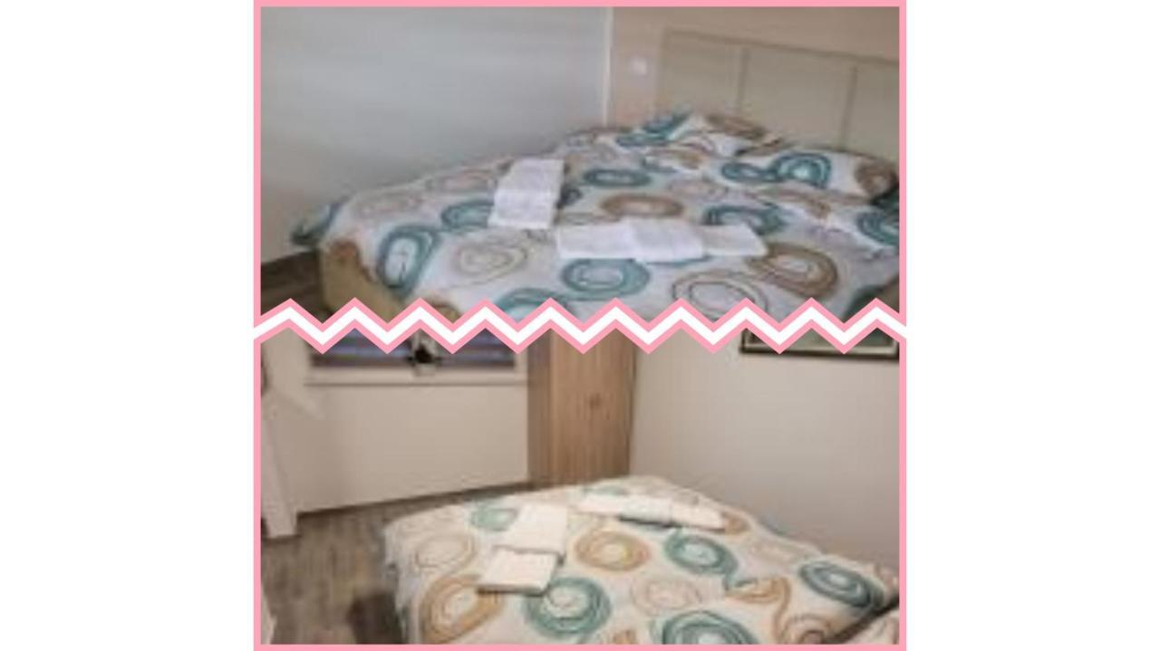 Apartmani Apolon Vrdnik Esterno foto